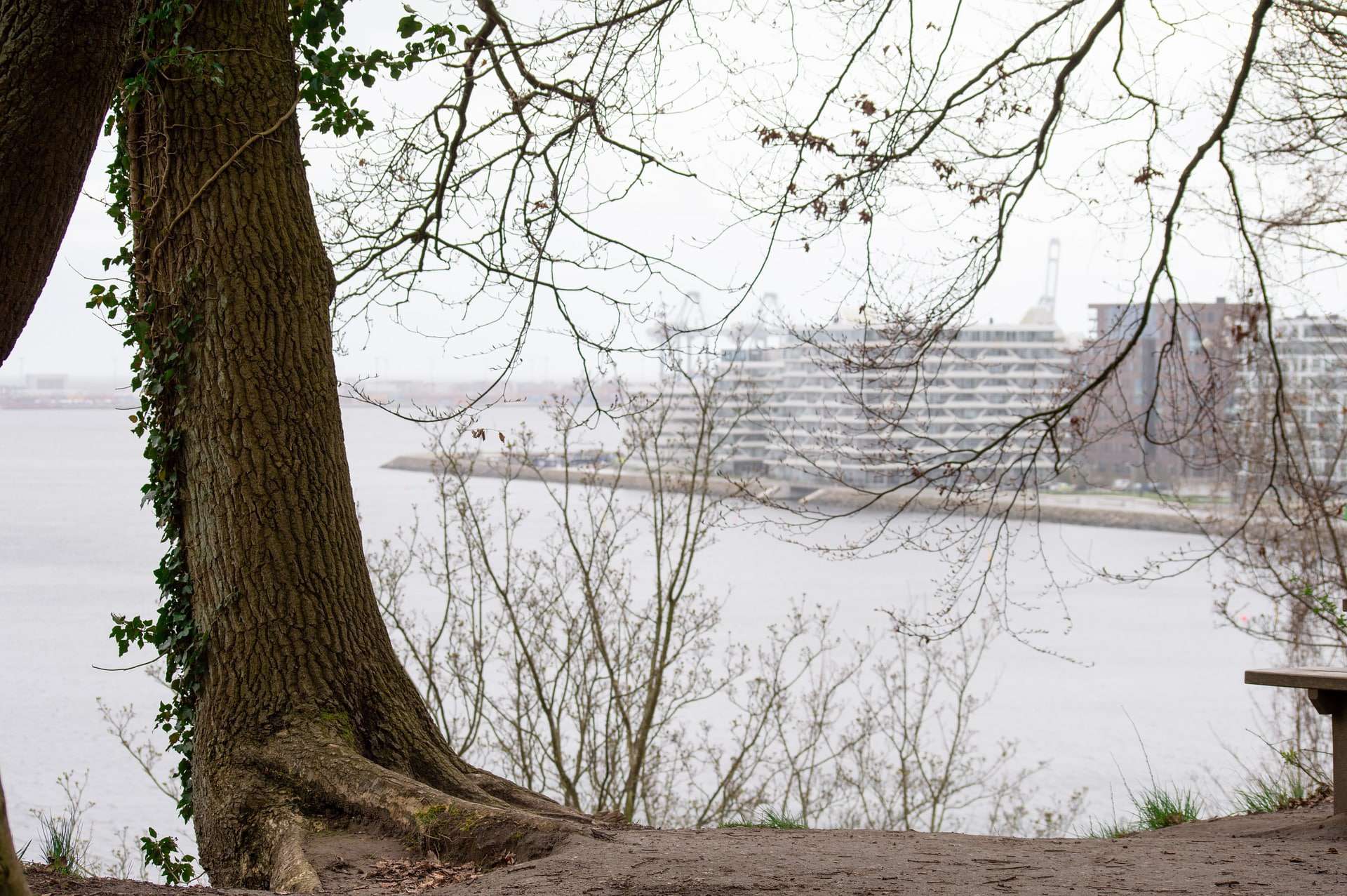 ชาวต่างชาติ Aarhus