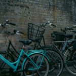 Discovering Denmark: A Guide to Culture, History, and Nature